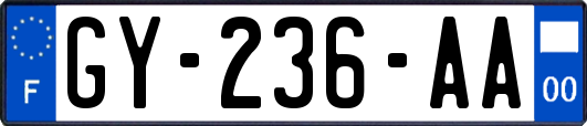 GY-236-AA