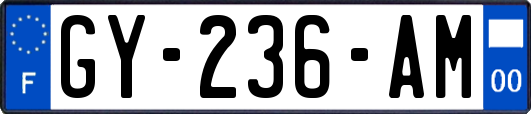 GY-236-AM