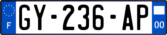 GY-236-AP