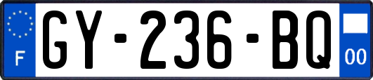 GY-236-BQ