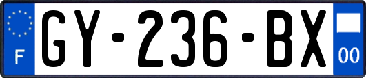 GY-236-BX