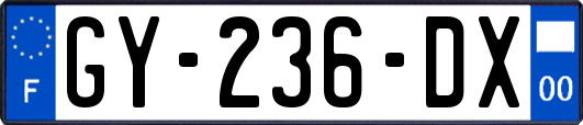 GY-236-DX