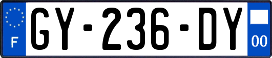 GY-236-DY