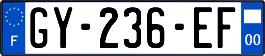 GY-236-EF