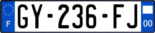 GY-236-FJ