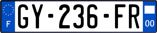 GY-236-FR