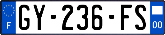 GY-236-FS
