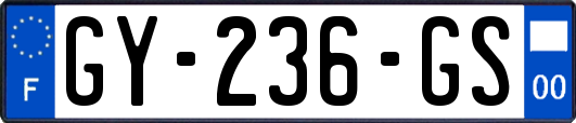 GY-236-GS