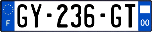 GY-236-GT