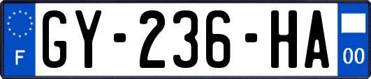GY-236-HA