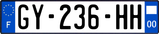 GY-236-HH