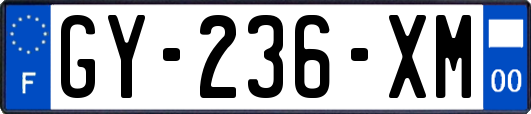 GY-236-XM