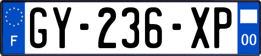 GY-236-XP