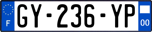 GY-236-YP