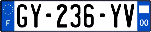 GY-236-YV