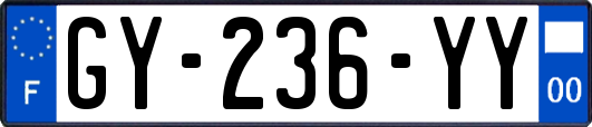 GY-236-YY