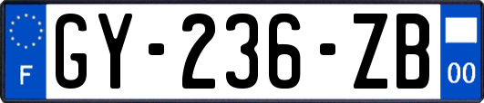 GY-236-ZB
