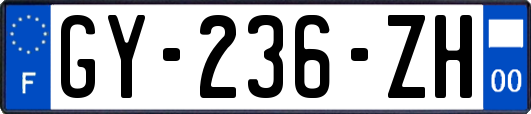 GY-236-ZH