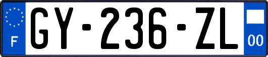 GY-236-ZL