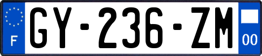 GY-236-ZM