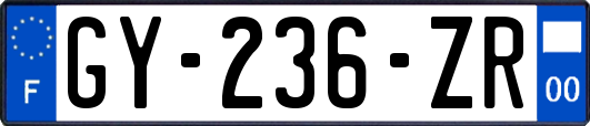 GY-236-ZR