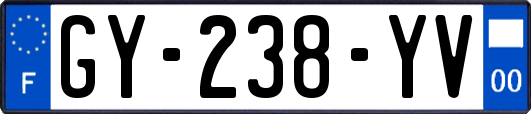 GY-238-YV