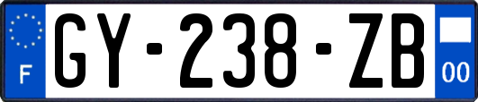 GY-238-ZB