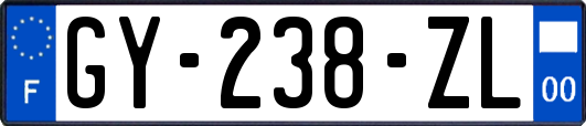 GY-238-ZL