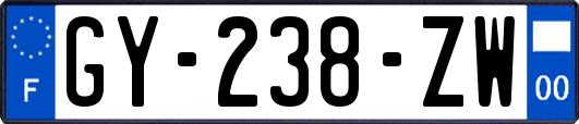 GY-238-ZW
