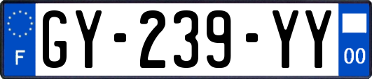 GY-239-YY