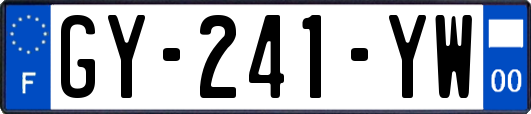 GY-241-YW