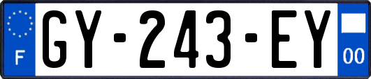 GY-243-EY