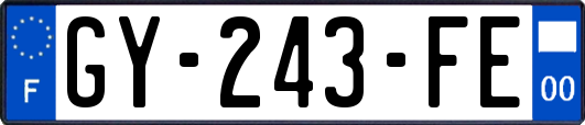 GY-243-FE
