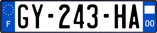 GY-243-HA