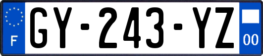 GY-243-YZ