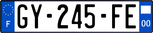 GY-245-FE