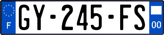 GY-245-FS