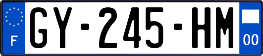 GY-245-HM