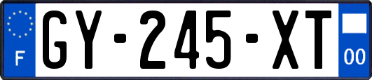 GY-245-XT