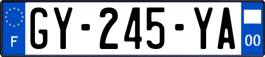 GY-245-YA