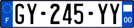 GY-245-YY