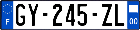 GY-245-ZL