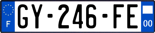 GY-246-FE