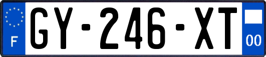 GY-246-XT