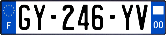 GY-246-YV