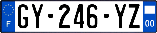 GY-246-YZ