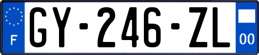 GY-246-ZL