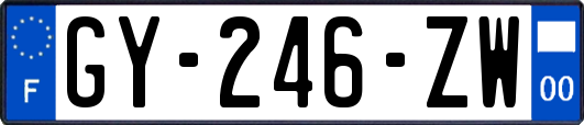 GY-246-ZW