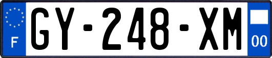 GY-248-XM