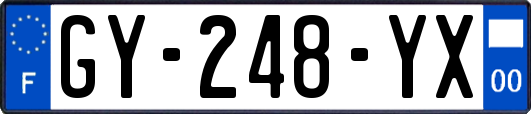 GY-248-YX